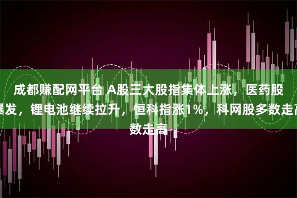 成都赚配网平台 A股三大股指集体上涨，医药股爆发，锂电池继续拉升，恒科指涨1%，科网股多数走高