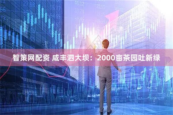 智策网配资 咸丰泗大坝：2000亩茶园吐新绿