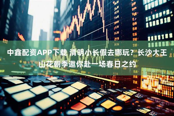 中鑫配资APP下载 清明小长假去哪玩？长沙大王山花朝季邀你赴一场春日之约