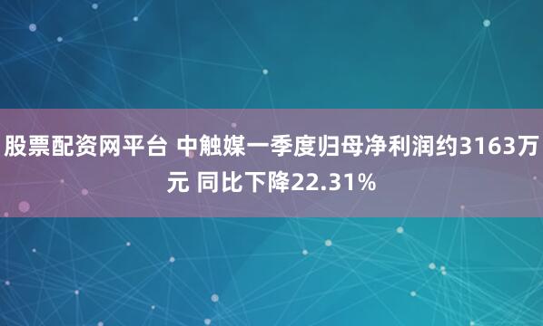 股票配资网平台 中触媒一季度归母净利润约3163万元 同比下降22.31%