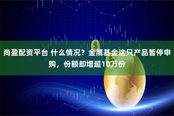 尚盈配资平台 什么情况？金鹰基金这只产品暂停申购，份额却增超10万份
